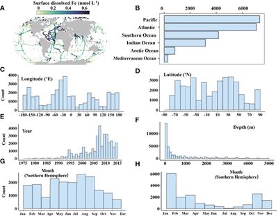 Data-Driven Modeling of Dissolved Iron in the Global Ocean